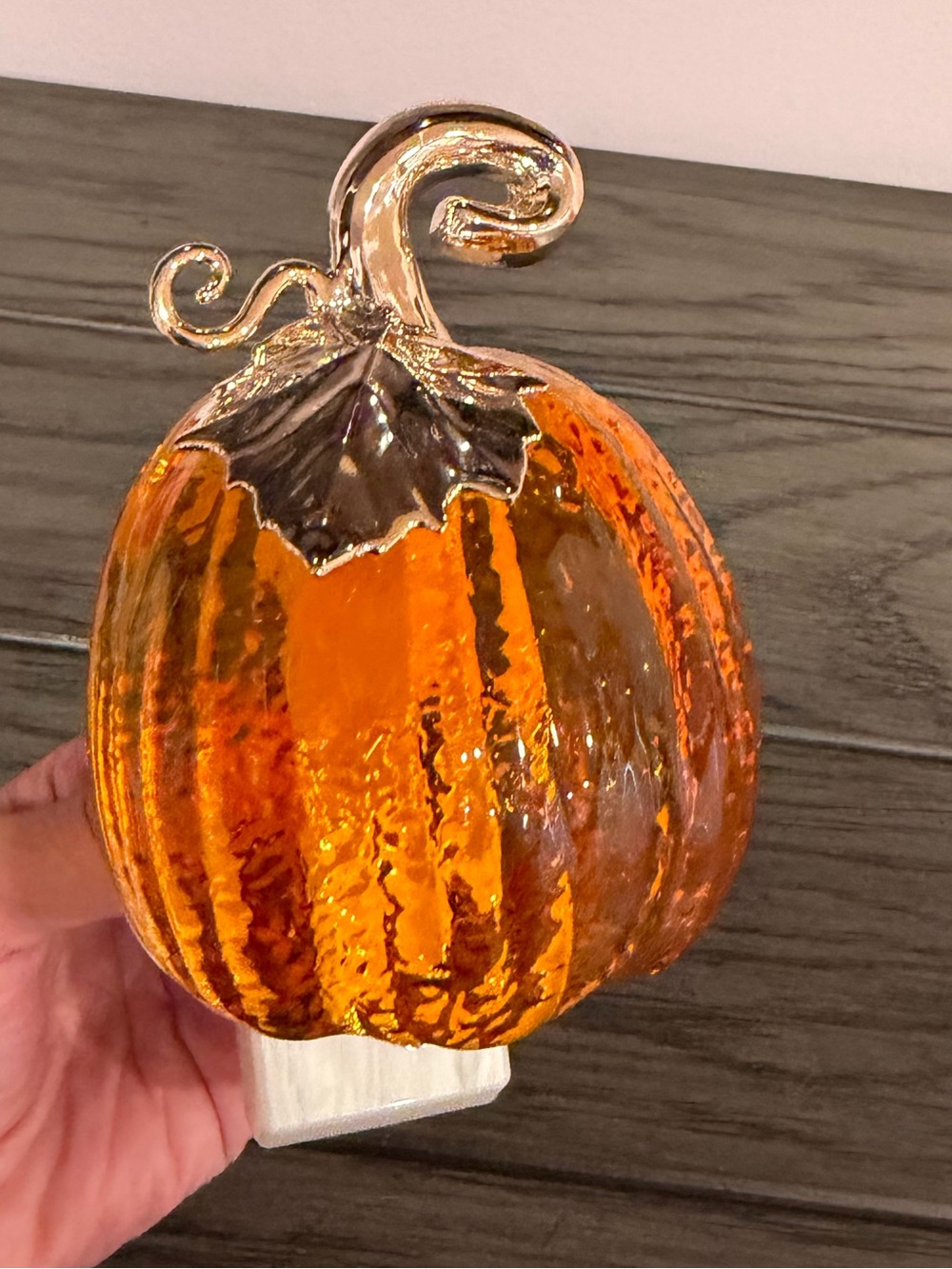 Bath & Body Works Wallflower Plug